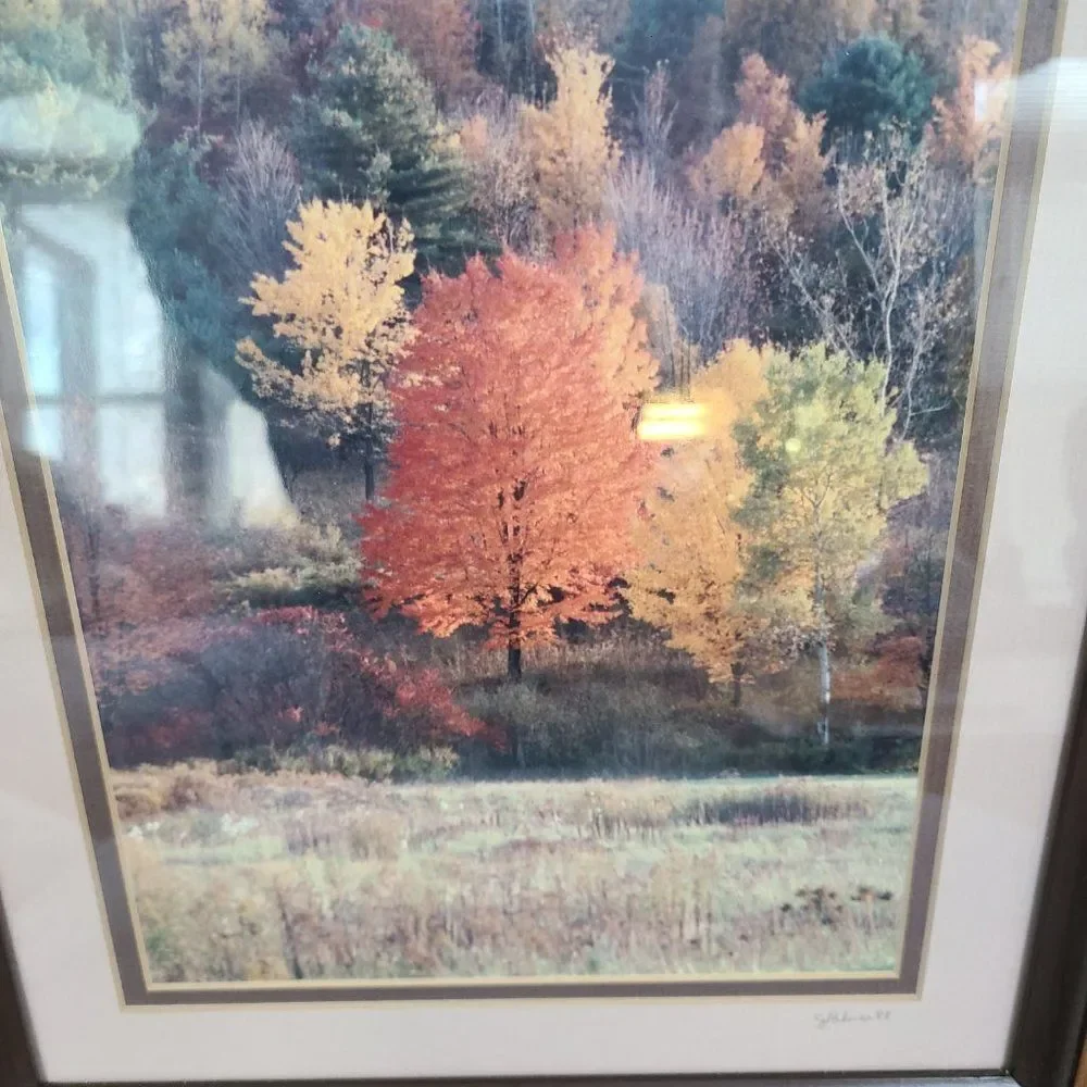 Vintage Autumn Fall Photography Wall Hanging Framed and Matted J Palmer 1988